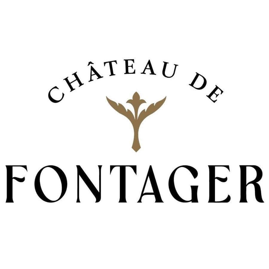 فندق Chateau De Fontager Serves-sur-Rhône المظهر الخارجي الصورة